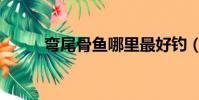 彎尾骨魚哪里最好釣(彎尾骨魚)