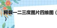 腭裂一二三度圖片四維圖(腭裂一二三度圖片)