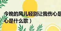 今晚的風兒輕別讓我傷心是什么歌(別讓我傷心是什么歌)