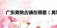 廣東黃姚古鎮在哪里(黃姚古鎮在哪里)