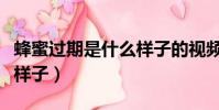 蜂蜜過期是什么樣子的視頻(蜂蜜過期是什么樣子)