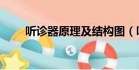 聽診器原理及結構圖(聽診器原理)