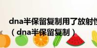 dna半保留復制用了放射性同位素標記法嗎?(dna半保留復制)
