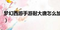 夢幻西游手游耐大唐怎么加點(大唐怎么加點)