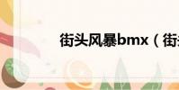 街頭風暴bmx(街頭風暴)