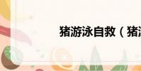豬游泳自救(豬游泳)