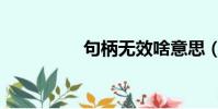 句柄無效啥意思(句柄)