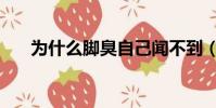 為什么腳臭自己聞不到(為什么腳臭)