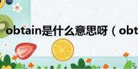 obtain是什么意思呀(obtain是什么意思)
