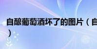 自釀葡萄酒壞了的圖片(自釀葡萄酒失敗圖片)