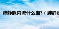 肺靜脈內流什么血?(肺靜脈流的是什么血)