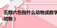 五顏六色指什么動物或數字(五顏六色指什么動物)