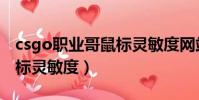 csgo職業哥鼠標靈敏度網站(csgo職業哥鼠標靈敏度)