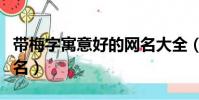 帶梅字寓意好的網名大全(帶梅字寓意好的網名)