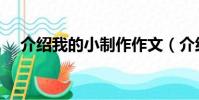 介紹我的小制作作文(介紹我的小制作)