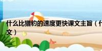 什么比獵豹的速度更快課文主旨(什么比獵豹的速度更快課文)