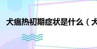 犬瘟熱初期癥狀是什么(犬瘟熱初期癥狀)