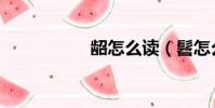 齠怎么讀(髫怎么讀)
