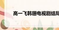 高一飛韓珊電視劇結局(高一飛)