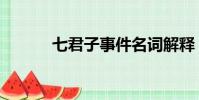 七君子事件名詞解釋(七君子)