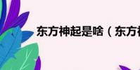 東方神起是啥(東方神起事件)