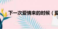 下一次愛情來的時候(愛情來的時候)