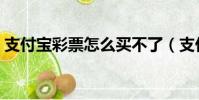 支付寶彩票怎么買不了(支付寶彩票怎么買)