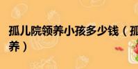 孤兒院領養小孩多少錢(孤兒院健康小孩求領養)