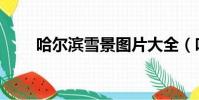 哈爾濱雪景圖片大全(哈爾濱雪景)
