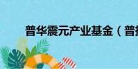普華震元產業基金(普振華的由來)