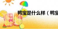 鴨寶是什么樣(鴨寶是什么)