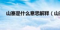 山寨是什么意思解釋(山寨是什么意思)