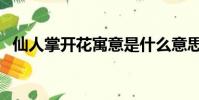 仙人掌開花寓意是什么意思(仙人掌開花)