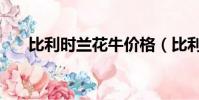 比利時蘭花牛價格(比利時蘭白花牛)