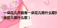 一朵花兒開就有一朵花兒敗什么歌抖音(一朵花兒開就有一朵花兒敗什么歌)