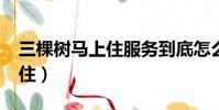 三棵樹馬上住服務到底怎么樣?(三棵樹馬上住)