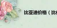 比亞迪價格(比價格)