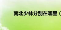 南北少林分別在哪里(南北少林)