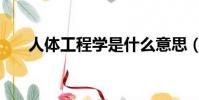 人體工程學是什么意思(人體工程學)