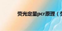 熒光定量pcr原理(熒光定量)