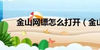 金山網鏢怎么打開(金山網鏢2009)