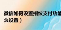 微信如何設置指紋支付功能(微信付款指紋怎么設置)
