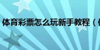 體育彩票怎么玩新手教程(體育彩票怎么玩)