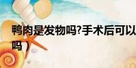 鴨肉是發物嗎?手術后可以吃嗎(鴨肉是發物嗎)