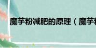 魔芋粉減肥的原理(魔芋粉減肥的危害)