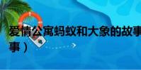 愛情公寓螞蟻和大象的故事(螞蟻和大象的故事)