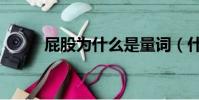 屁股為什么是量詞(什么是量詞)