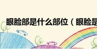 眼臉部是什么部位(眼臉是眼睛哪個部位)