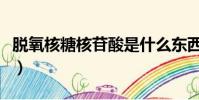 脫氧核糖核苷酸是什么東西(脫氧核糖核苷酸)