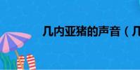 幾內亞豬的聲音(幾內亞豬)